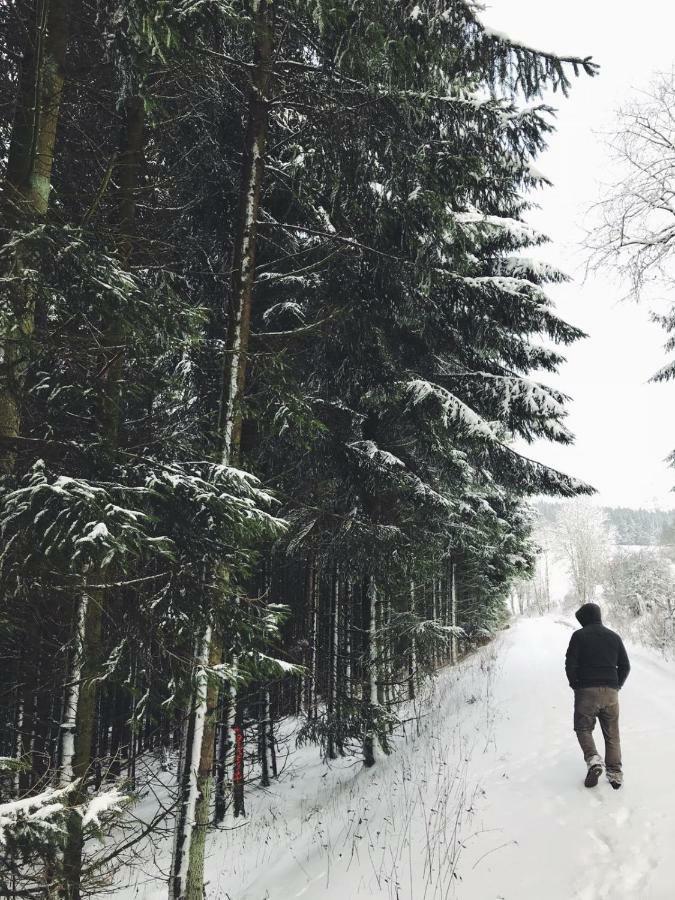Ferienhaus Schneeweiss วินเทอร์แบร์ก ภายนอก รูปภาพ